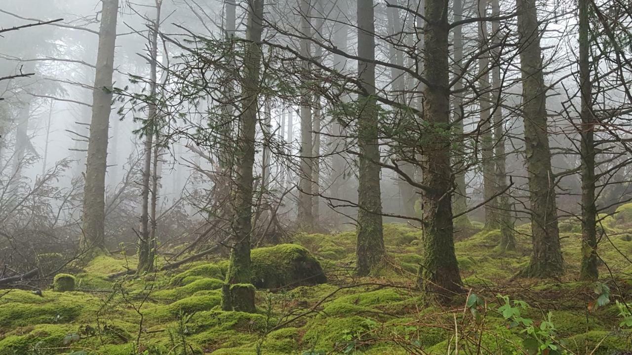 고리 Tara Hill Estate 빌라 외부 사진